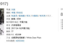 国产精品800部,匠心独运，光影流年
